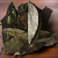 Sour Sop Leaves - Nature's Healing Powerhouse for Wellness