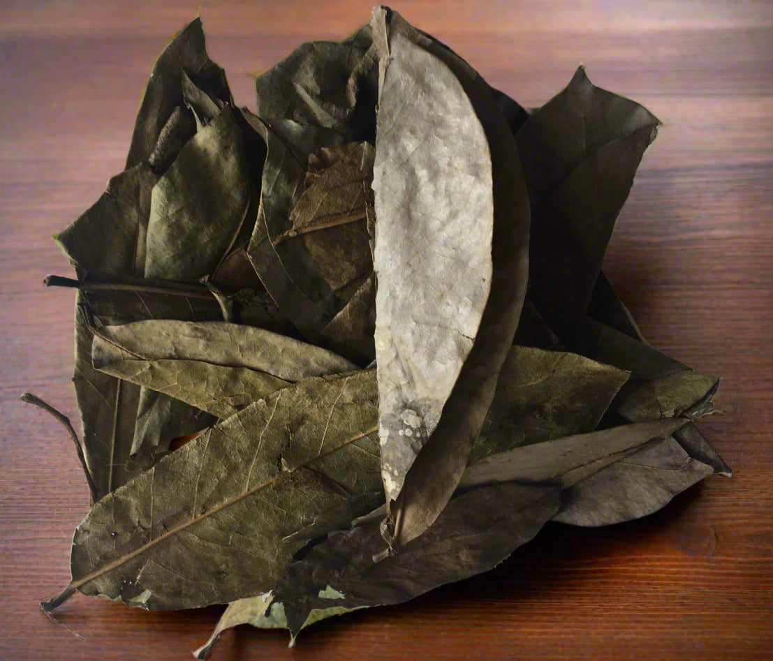 Sour Sop Leaves - Nature's Healing Powerhouse for Wellness