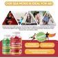 Strawberry Sea Moss, Burdock Root, and Bladderwrack Gummies - A Delicious Boost for Health and Wellness