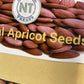 Kernal Apricot Seeds