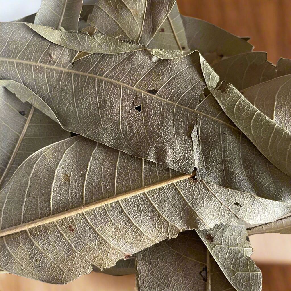 Mango Leaves